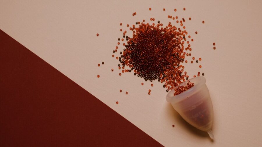 Evvy Conquista US$ 40 Milhões para Pesquisa de Saúde Feminina com Dados do Microbioma Vaginal