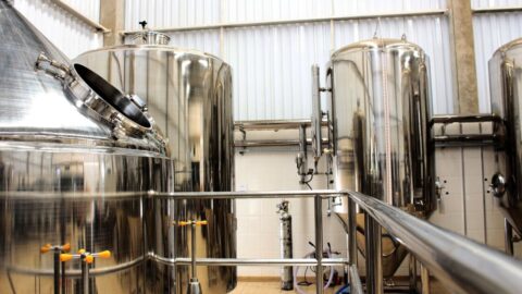 O Futuro da Biotecnologia e a Revolução do Aço Mais Limpo: Oportunidades Reais para Profissionais de TI
